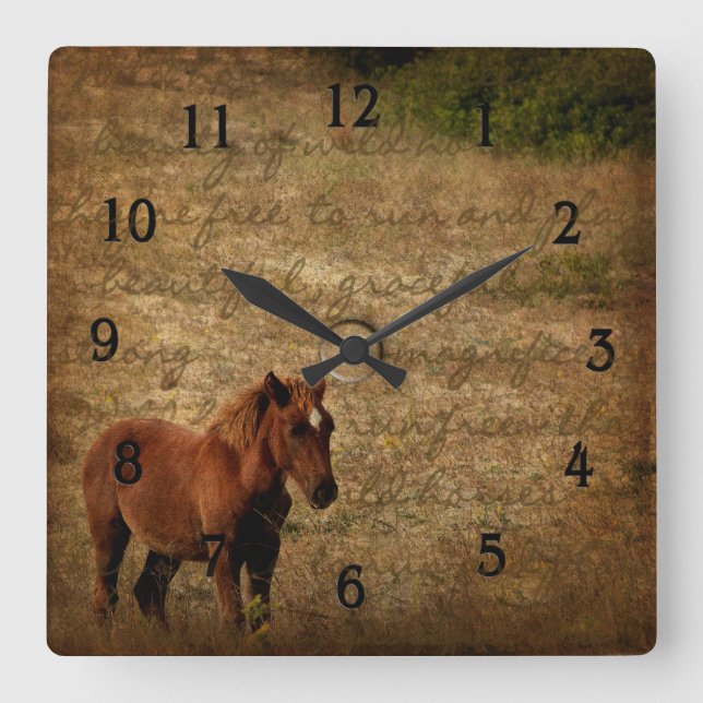 Horloge de cheval sauvage (Recto)