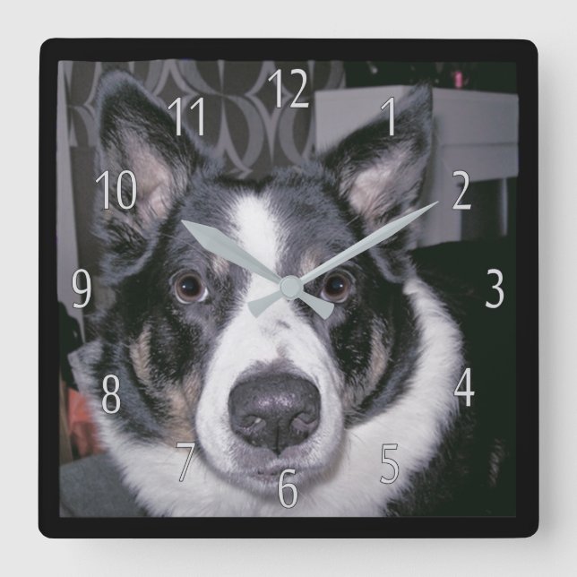 Horloge de chien personnalisée (Recto)