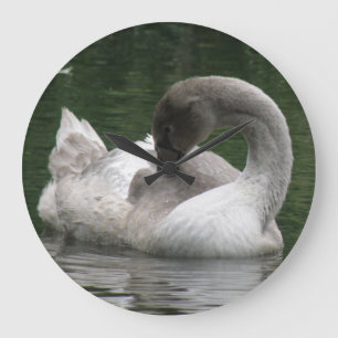 Horloge de cygne endormie