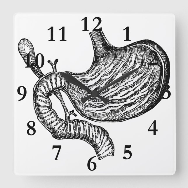 horloge de dessin d'estomac (Recto)