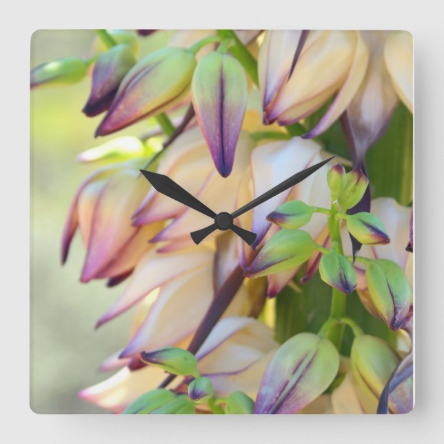 horloge de fleurs yucca (Recto)