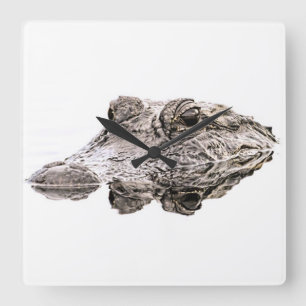 Horloge de Gator