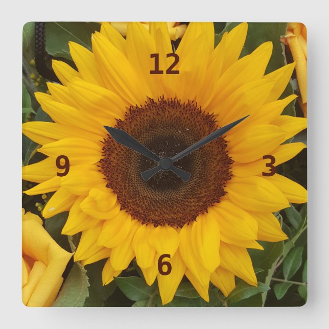 Horloge de la photographie florale des fleurs de t (Recto)