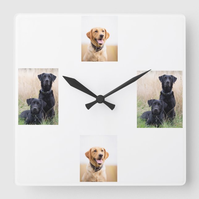 Horloge de Labrador (Recto)