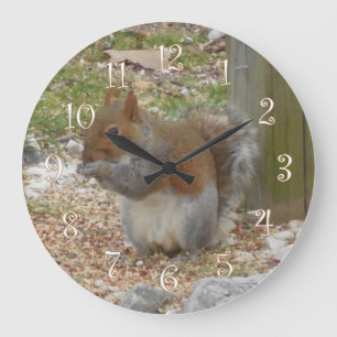 Horloge de l'écureuil