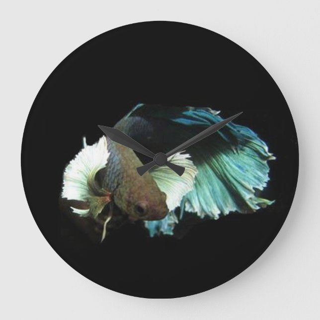 Horloge de poissons de Betta (Recto)