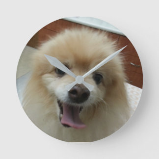 Horloge de Pomeranian