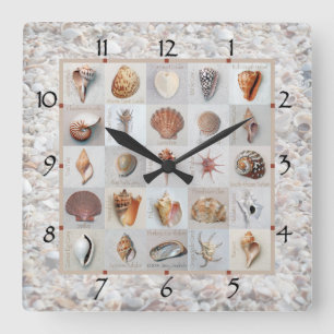 Horloge de Shell Beach