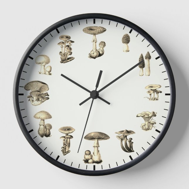 Horloge des champignons - Illustration des champig (Recto)