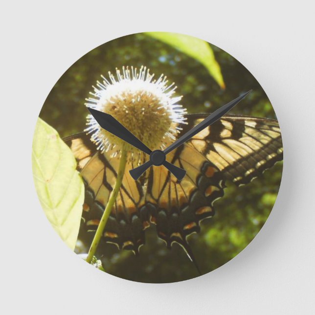 Horloge des fleurs du monarque de juin (Recto)