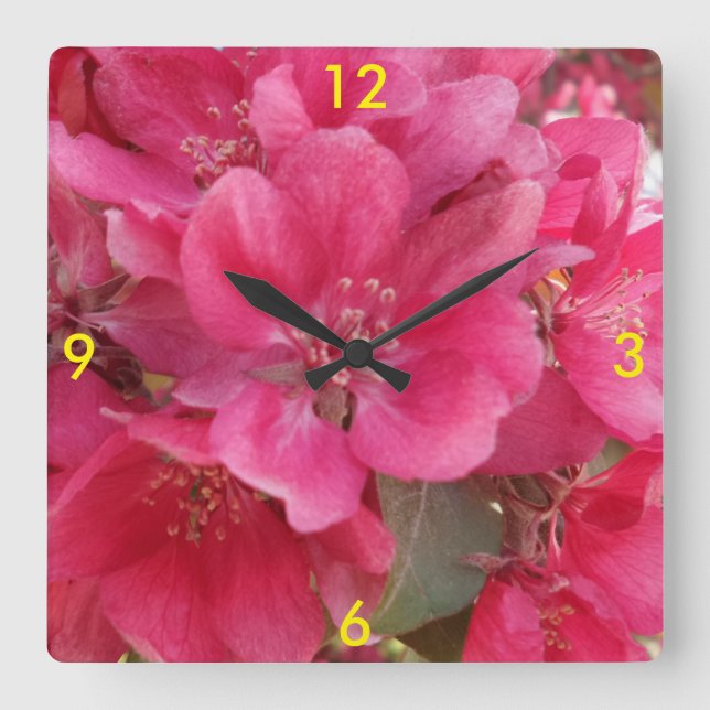 Horloge des fleurs du printemps (Recto)