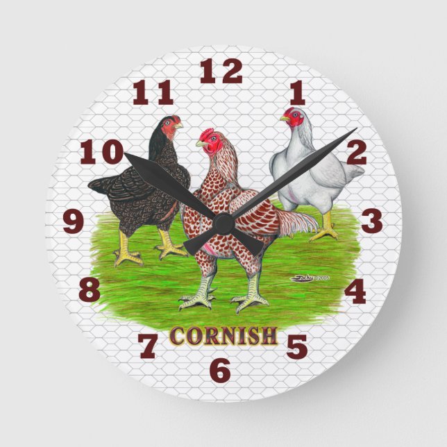 Horloge des poulets de Cornouailles (Recto)