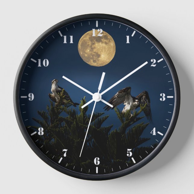 Horloge Deux Ospreys à pleine lune (Recto)