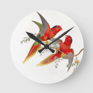 Horloge d'oiseaux de Goulds Lorikeet