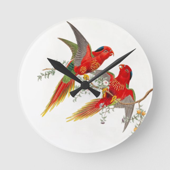 Horloge d'oiseaux de Goulds Lorikeet (Recto)
