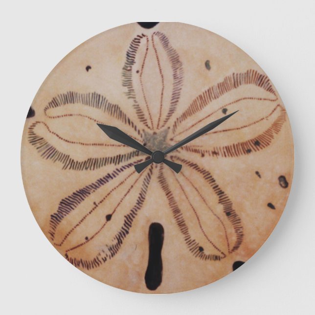 Horloge dollar de sable (Recto)