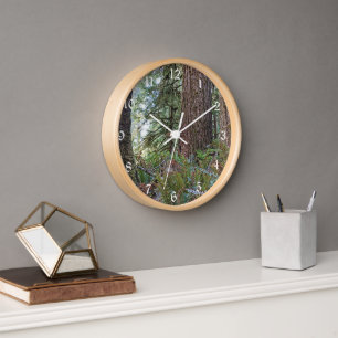 Horloge Douglas Fir Conifer