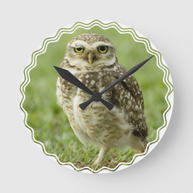 Horloge du hibou d'alerte (Recto)