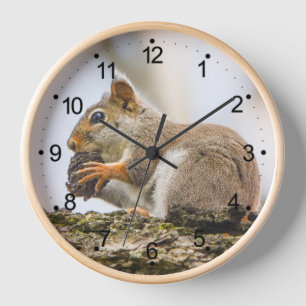 Horloge Écureuil Animaux Forêts Créatures Bois rond