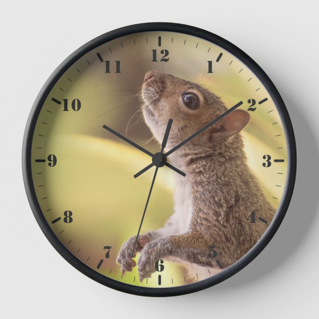 Horloge Écureuil gris oriental debout et observant (Recto)