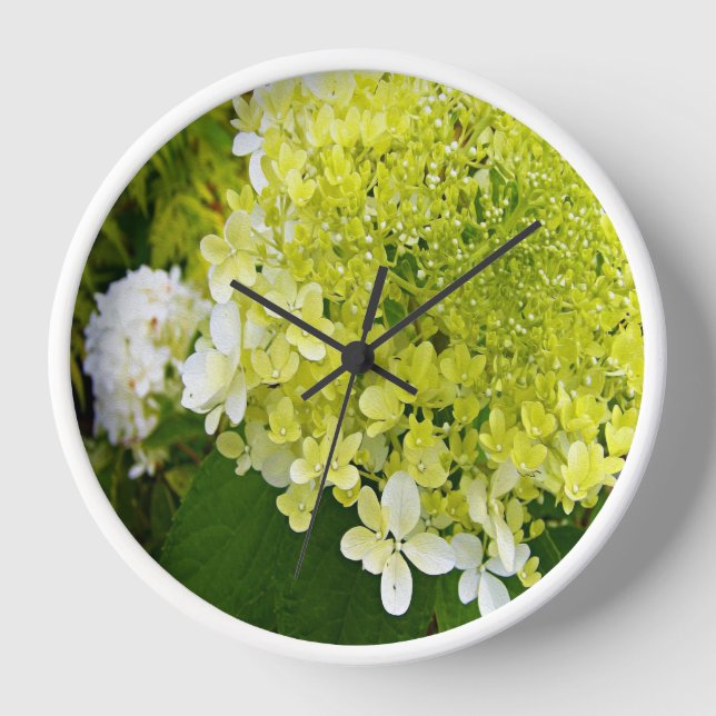 Horloge Élégante Chartreuse Vert Limelight Hydrangea (Recto)