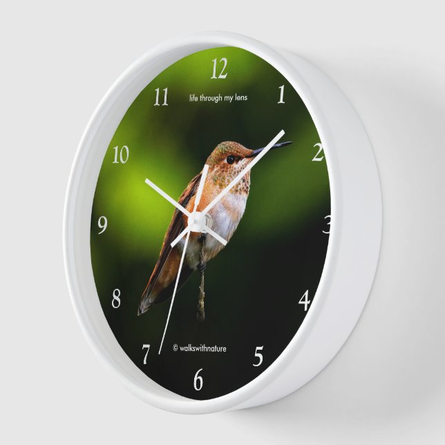 Horloge Étonnant colibri roux sur arbre fruitier (Angle)