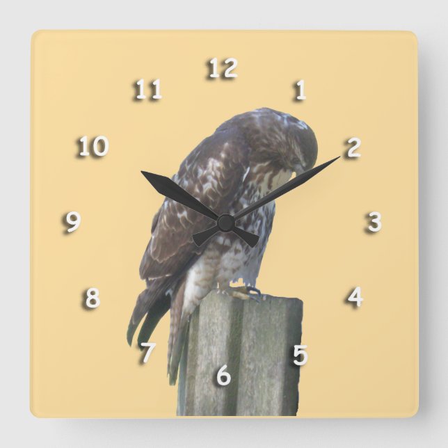 Horloge - Faucon sur la poste (Recto)