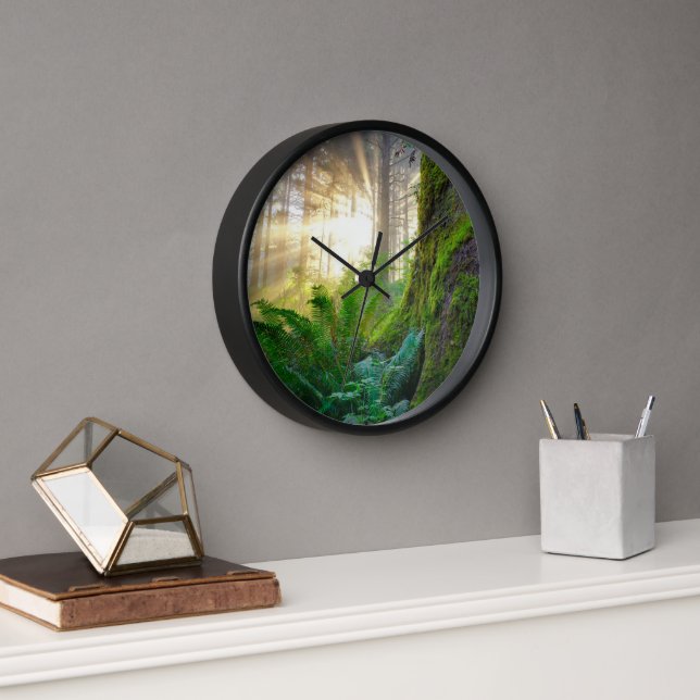 Horloge Forêt côtière du Pacifique, Oregon (Bureau)