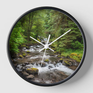 Horloge Forêt nationale de Siuslaw   Sweet Creek