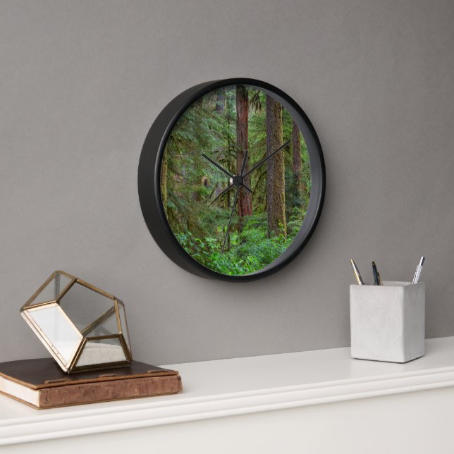 Horloge Forêt nationale de Willamette | Oregon (Bureau)