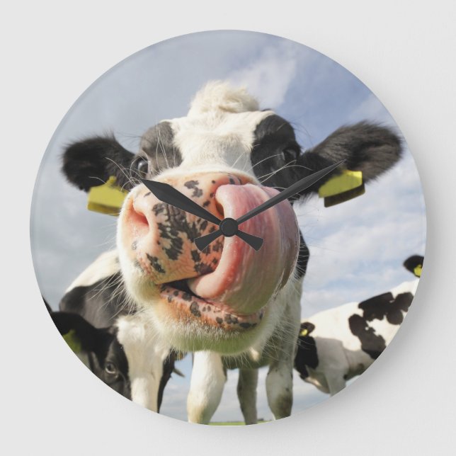 Horloge funeste de la vache (Recto)
