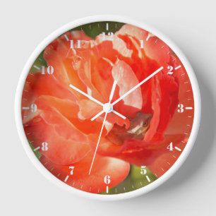 Horloge Grenouille dans la rose rouge