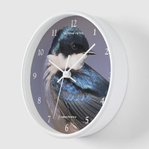 Horloge Incroyable Hirondelle bicolore chanteuse sous le s