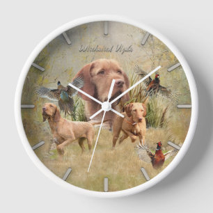 Horloge La À poils durs hongroise Vizsla