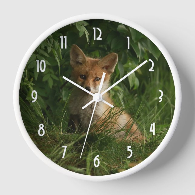 Horloge Le chou renard dans une forêt verte (Recto)