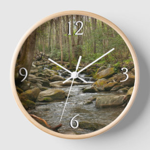 Horloge Le ruisseau Le Conte dans les montagnes Great Smok