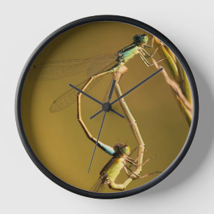 Horloge Libellules dorées Photographie macro originale