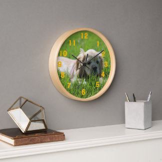 Horloge Luna