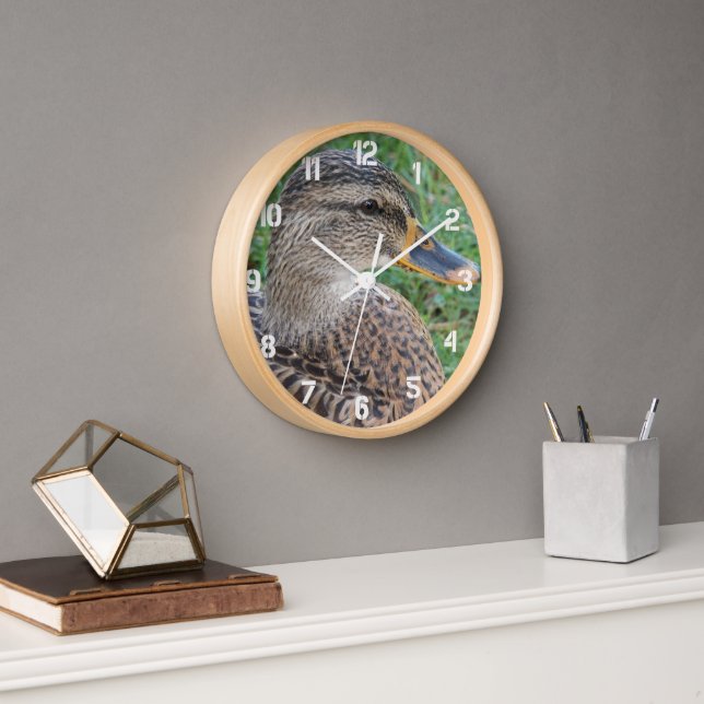 Horloge Mallard Duck Hen Photo (Bureau)