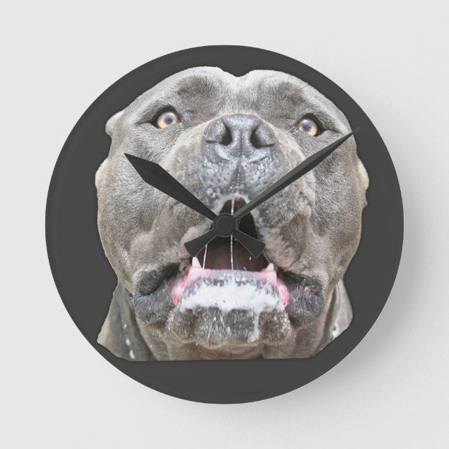 Horloge Mastiff de Cane Corso (Recto)