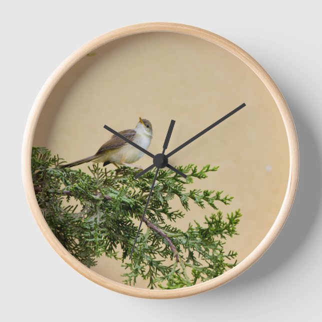 Horloge Moineau  (Recto)