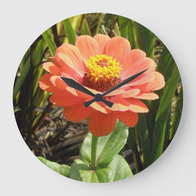 Horloge murale à fleurs Zinnia orange (Recto)