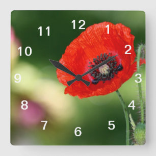 Horloge murale à graines de pavot rouge
