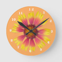 Horloge murale acrylique indienne
