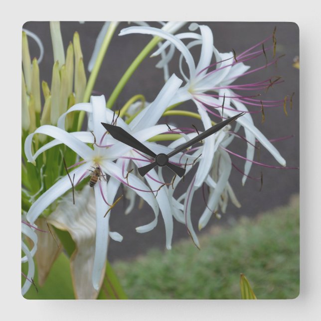 Horloge murale aux parfums floraux (Recto)