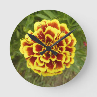 Horloge murale avec photo de Marigold dessus