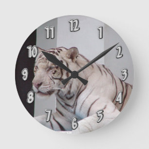 Horloge murale blanche de Tigres de Sibérie