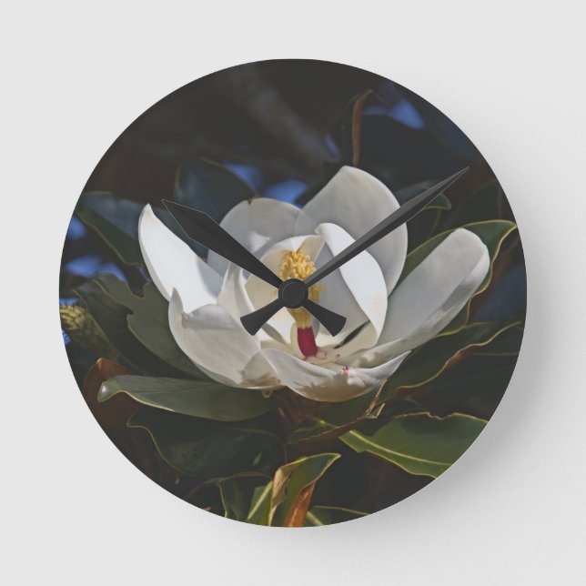 Horloge murale blanche en fleurs de Magnolia (Recto)