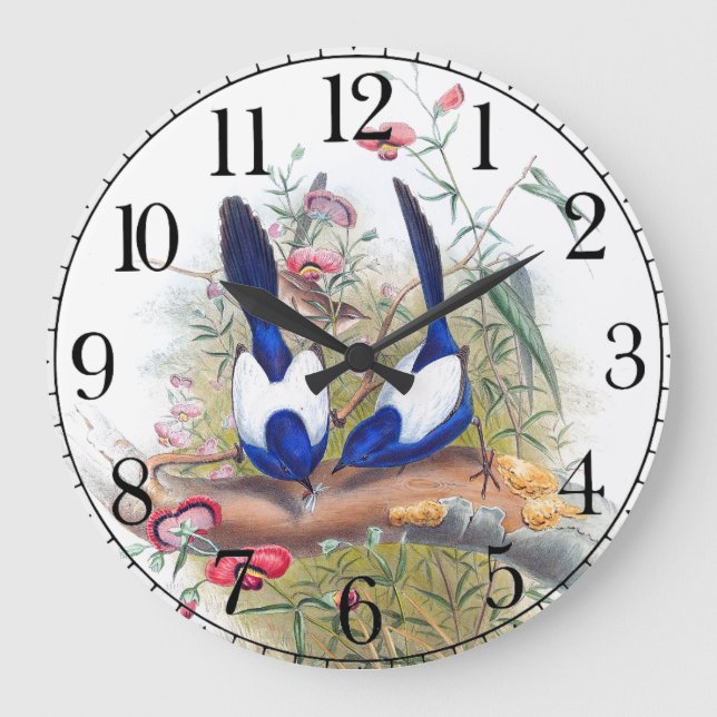 Horloge murale bleue d'animaux de faune d'oiseaux (Recto)