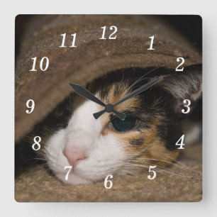 Horloge murale Calico Taco